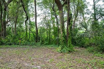 8641 HIGH ST, YALAHA, FL