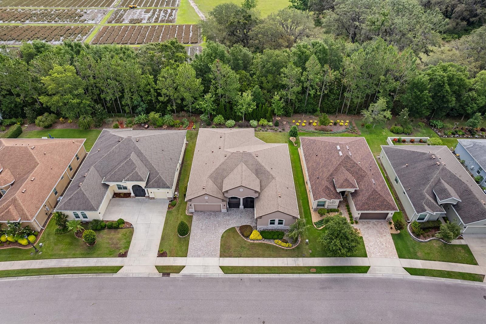 8348 BRIDGEPORT BAY CIR, MOUNT DORA, FL — photo 15