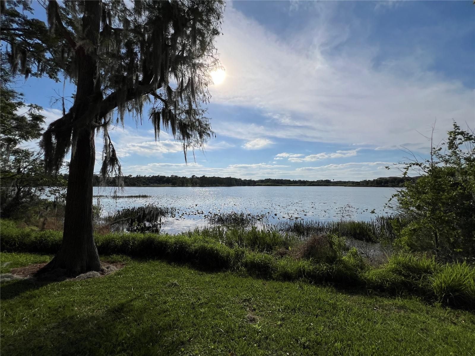 3315 PARKCHESTER SQUARE BLVD #301, ORLANDO, FL — photo 21