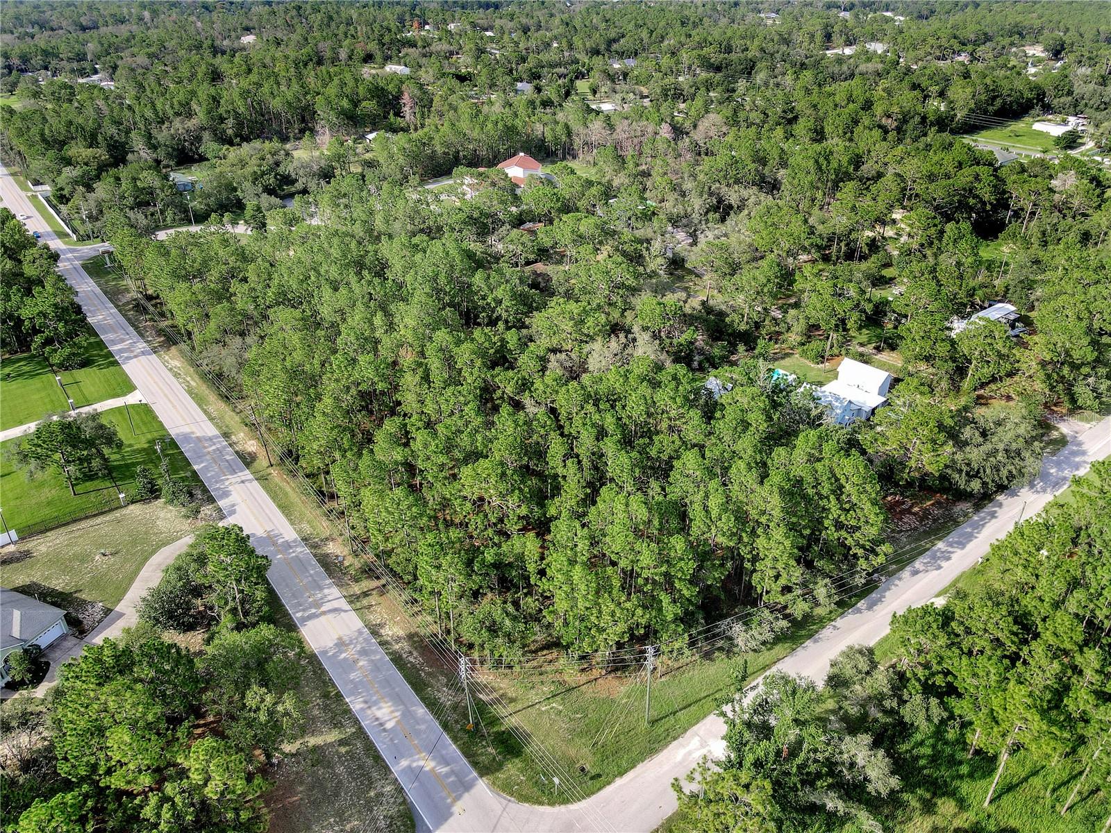 14163 HIGHGROVE RD, SPRING HILL, FL — photo 3