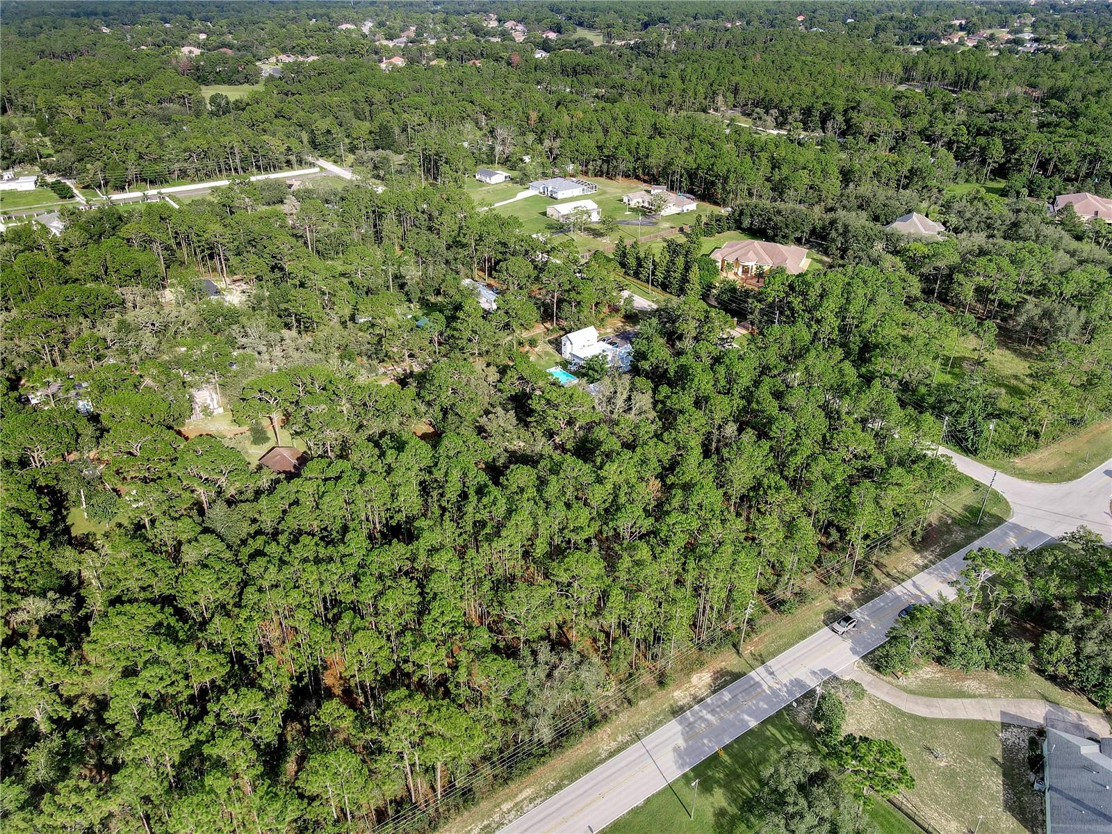 14163 HIGHGROVE RD, SPRING HILL, FL — photo 6