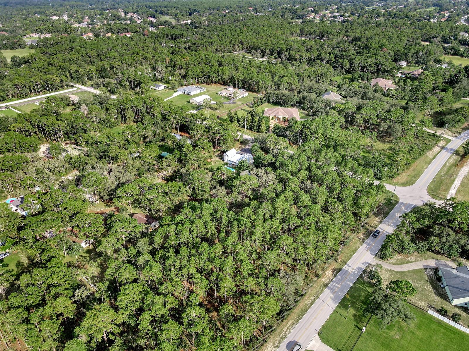 14163 HIGHGROVE RD, SPRING HILL, FL — photo 7