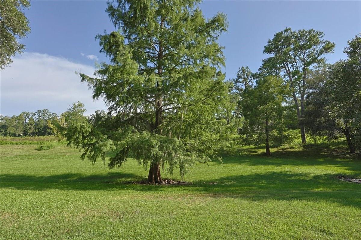 2710 NW 105TH DR, GAINESVILLE, FL — photo 4