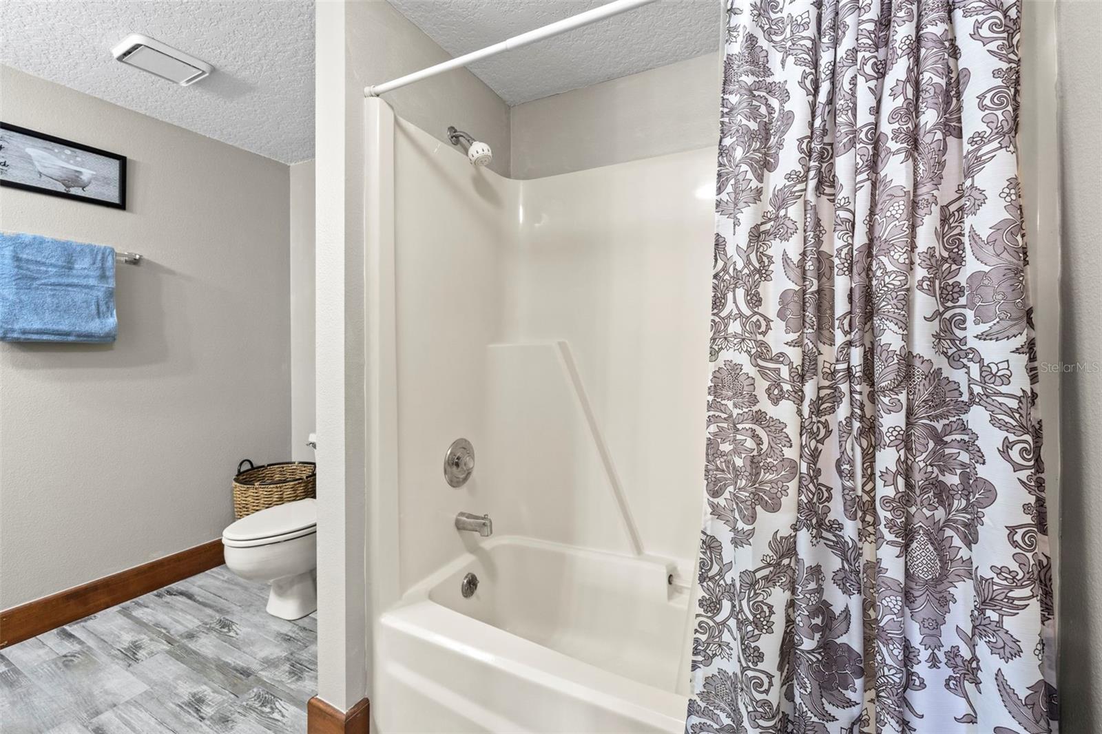 32137 WOLF BRANCH LN, SORRENTO, FL — photo 107
