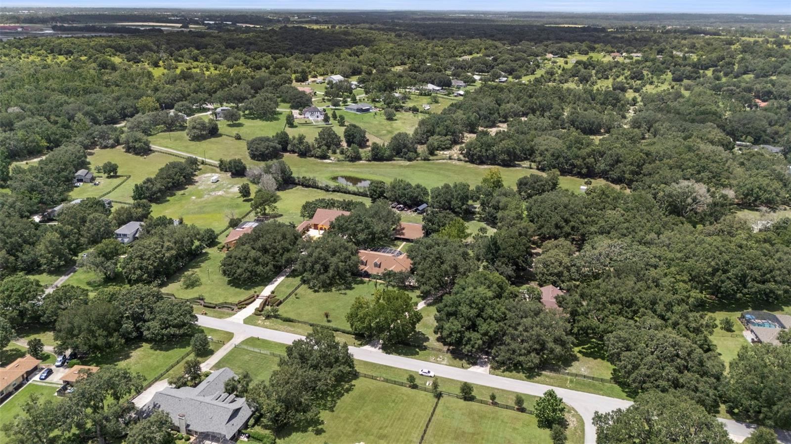 32137 WOLF BRANCH LN, SORRENTO, FL — photo 179