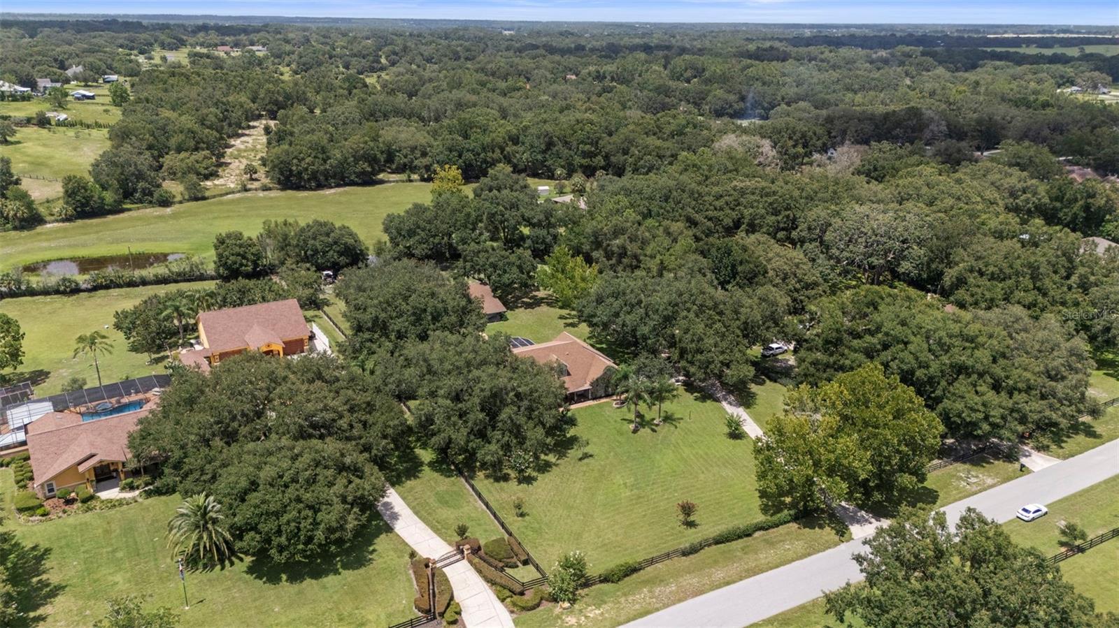 32137 WOLF BRANCH LN, SORRENTO, FL — photo 185