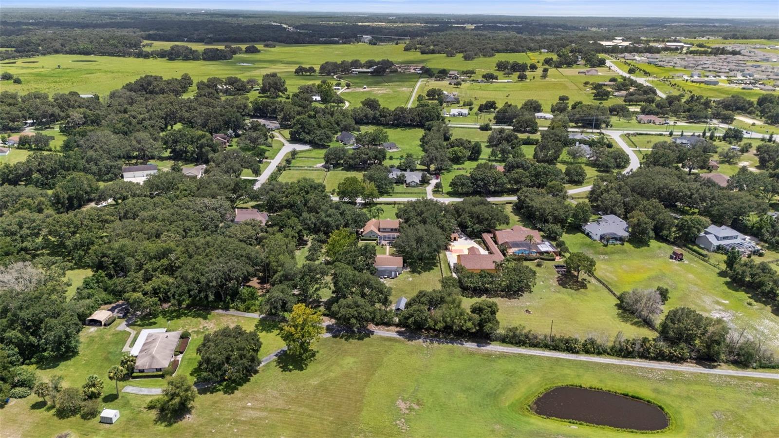 32137 WOLF BRANCH LN, SORRENTO, FL — photo 191