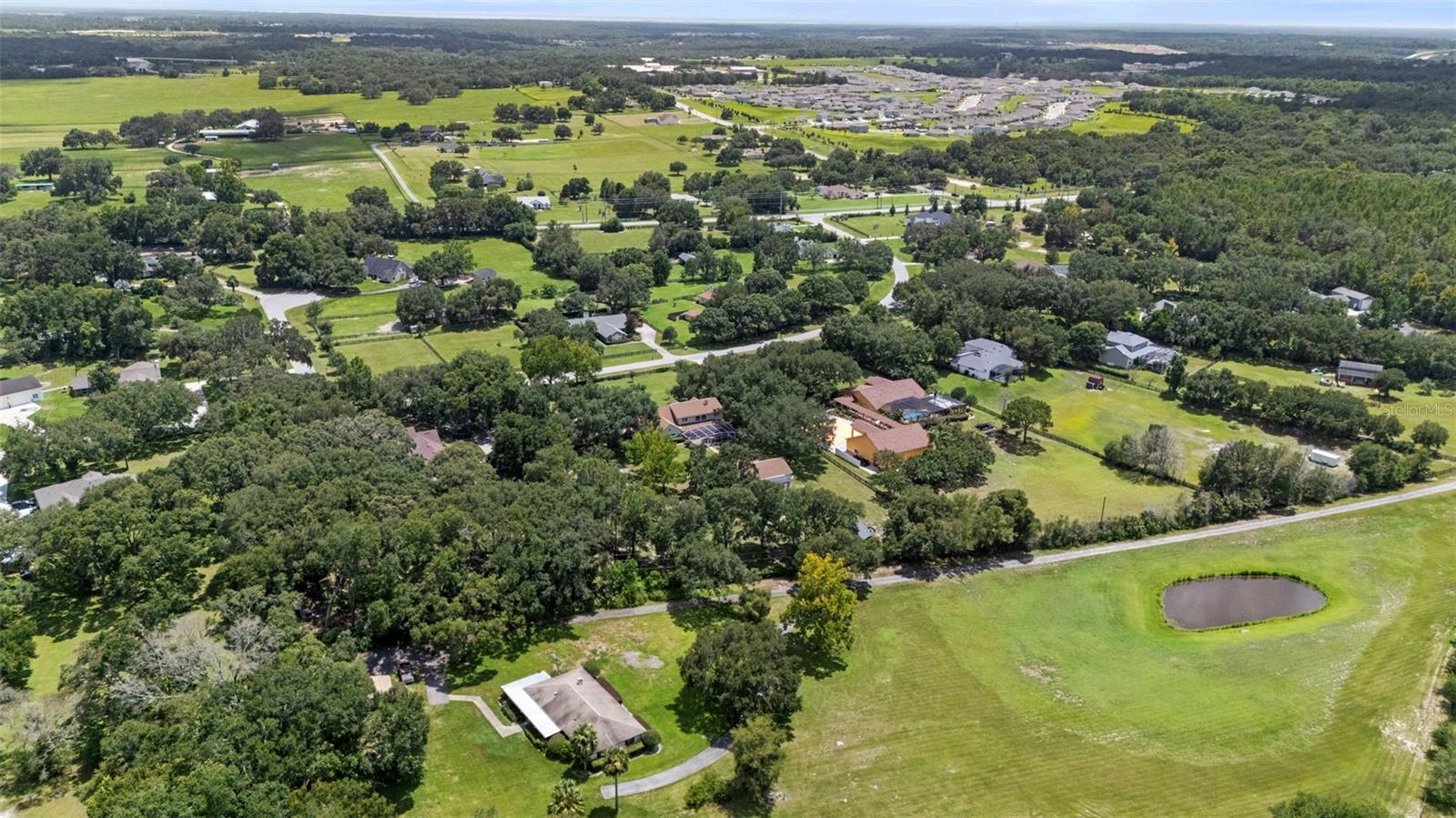 32137 WOLF BRANCH LN, SORRENTO, FL — photo 193