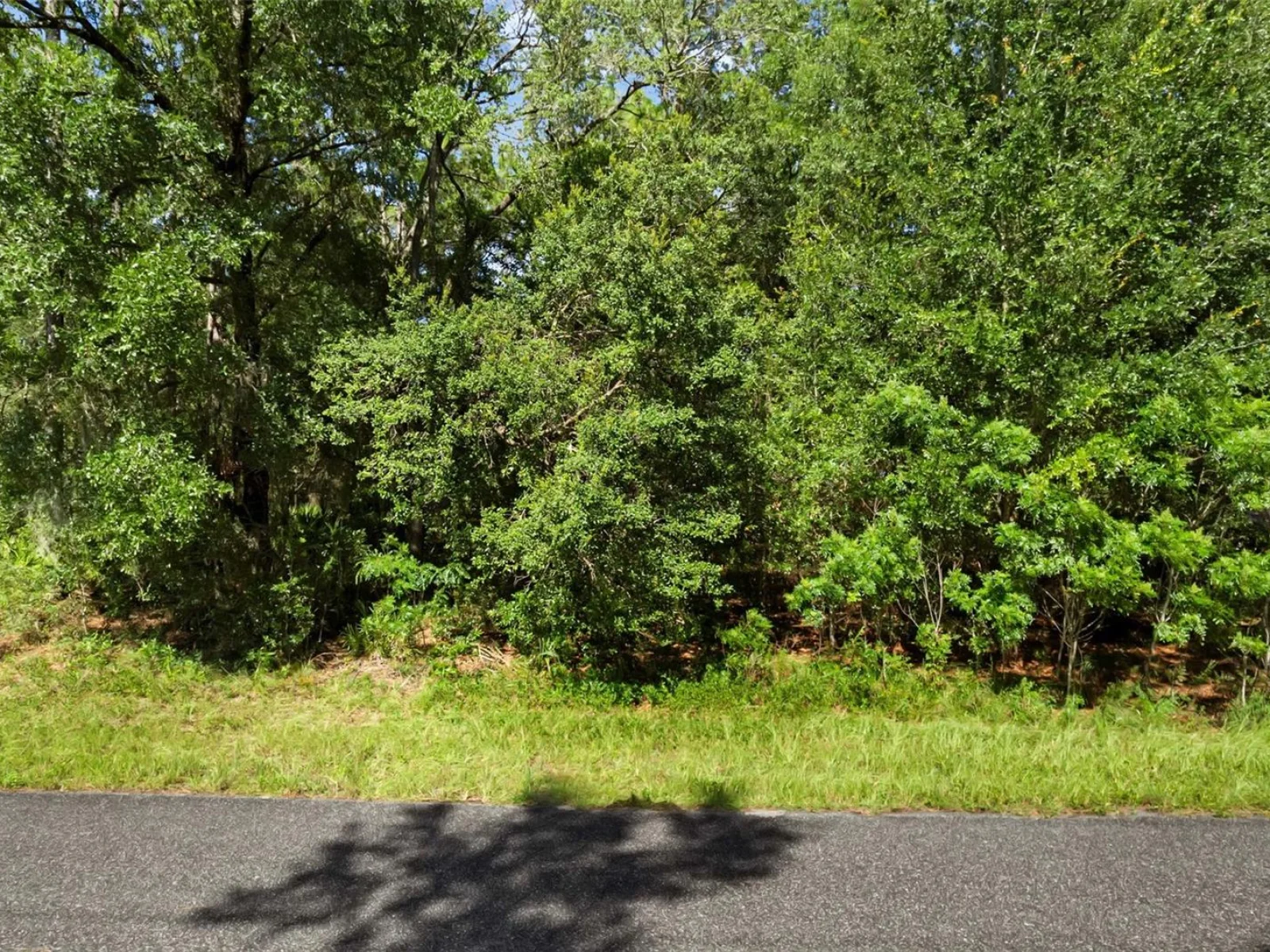 6733 N NANTUCKET WAY, DUNNELLON, FL — photo 6