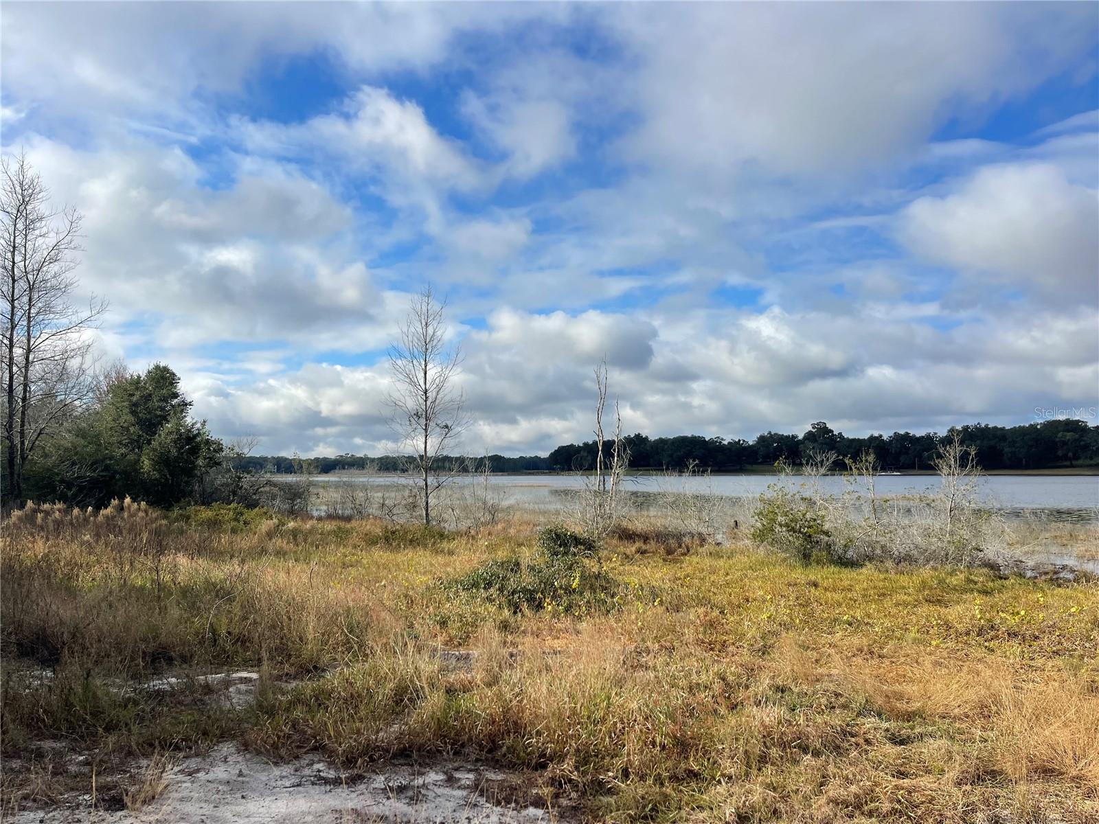 GRAYS AIRPORT RD, LADY LAKE, FL — photo 3