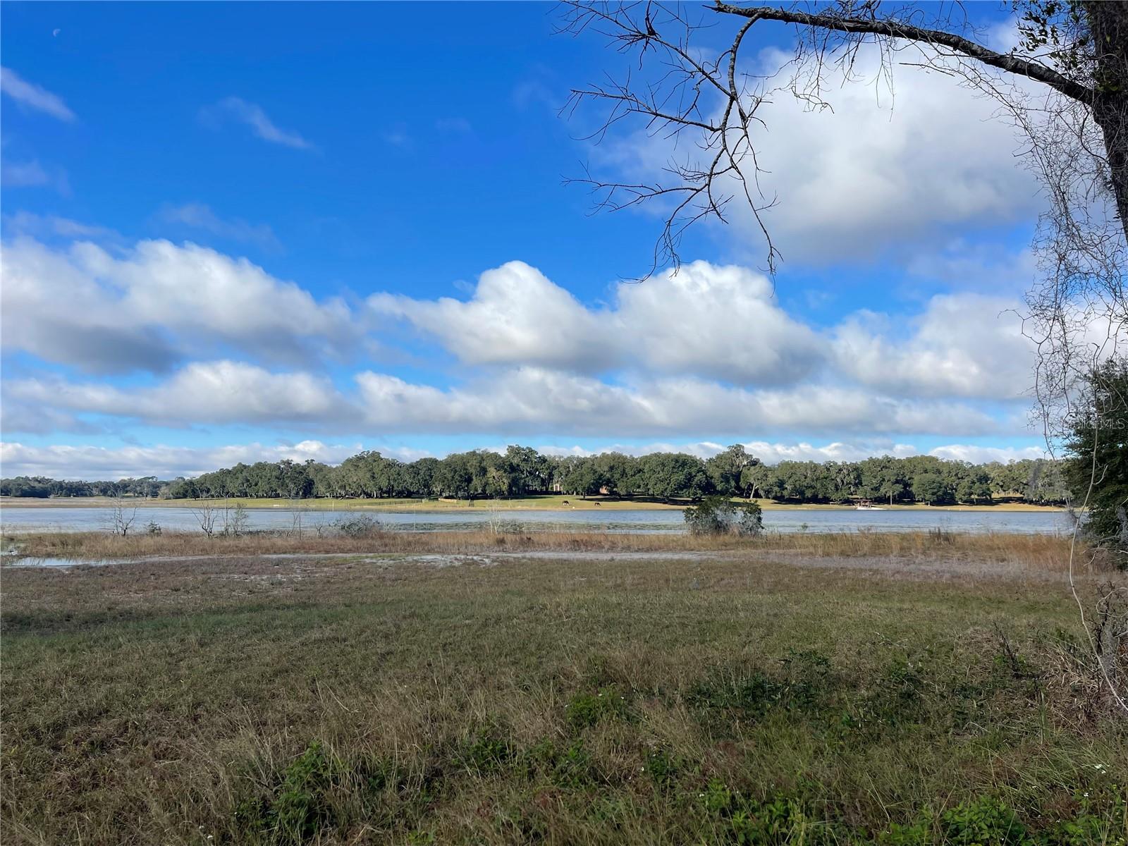 GRAYS AIRPORT RD, LADY LAKE, FL — photo 5