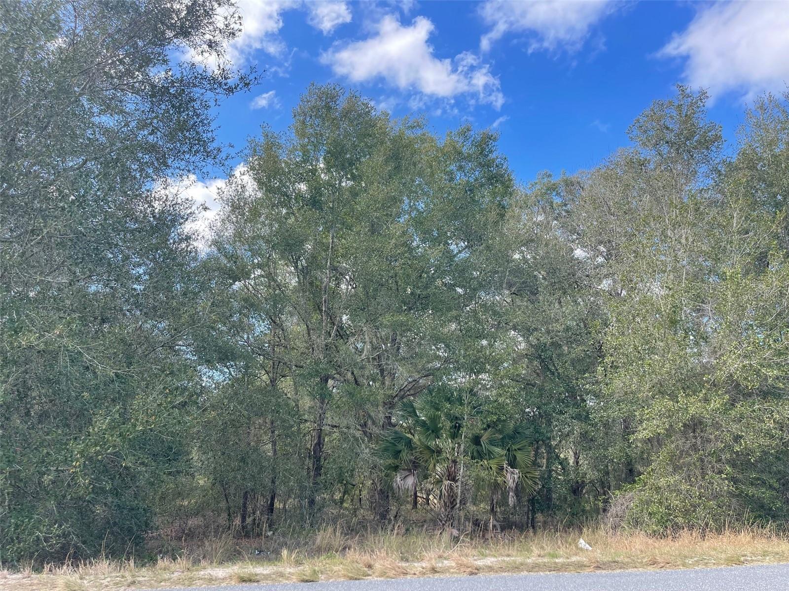 GRAYS AIRPORT RD, LADY LAKE, FL — photo 9