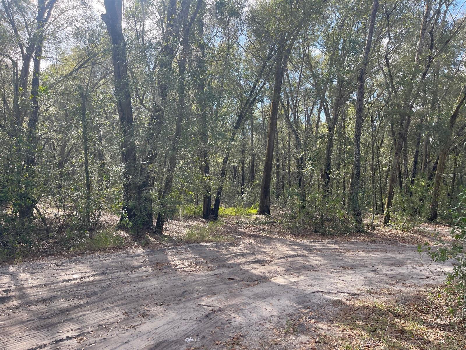 GRAYS AIRPORT RD, LADY LAKE, FL — photo 12