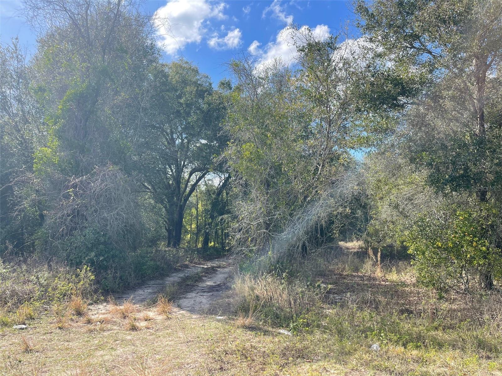 GRAYS AIRPORT RD, LADY LAKE, FL — photo 15