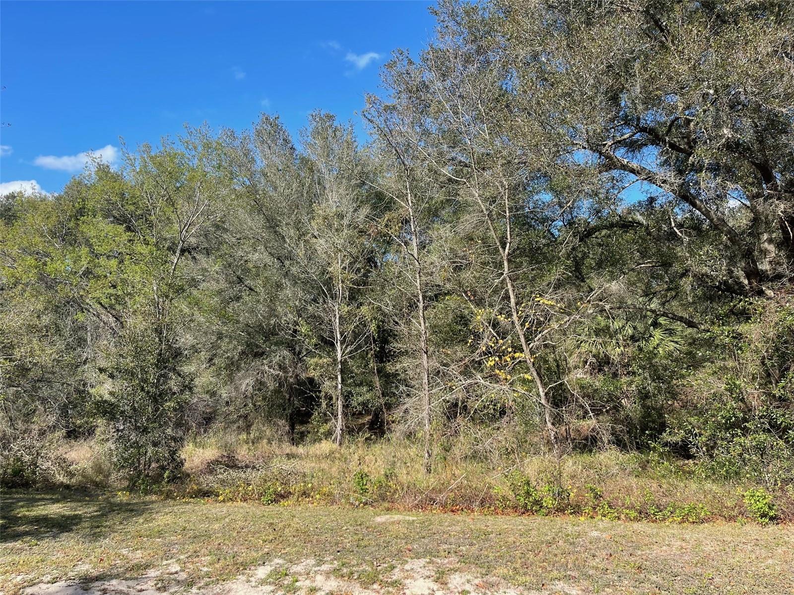 GRAYS AIRPORT RD, LADY LAKE, FL — photo 17