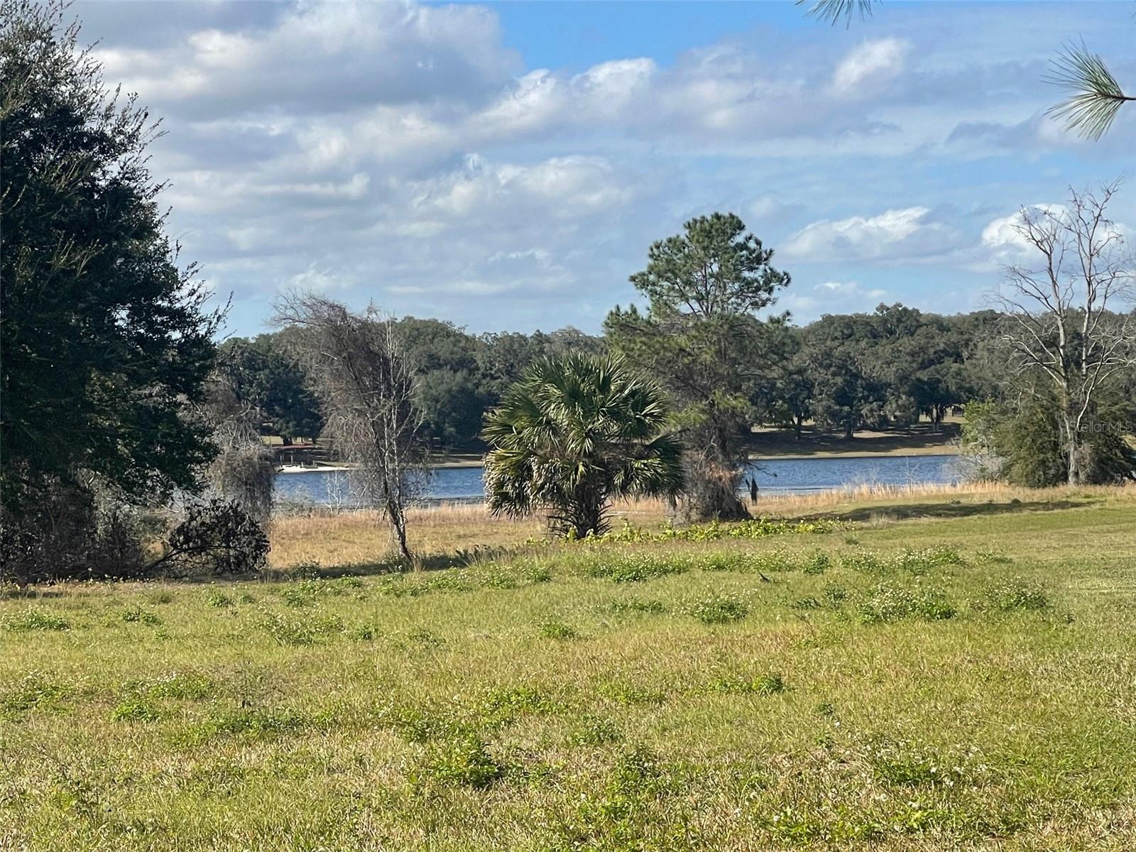 GRAYS AIRPORT RD, LADY LAKE, FL — photo 19