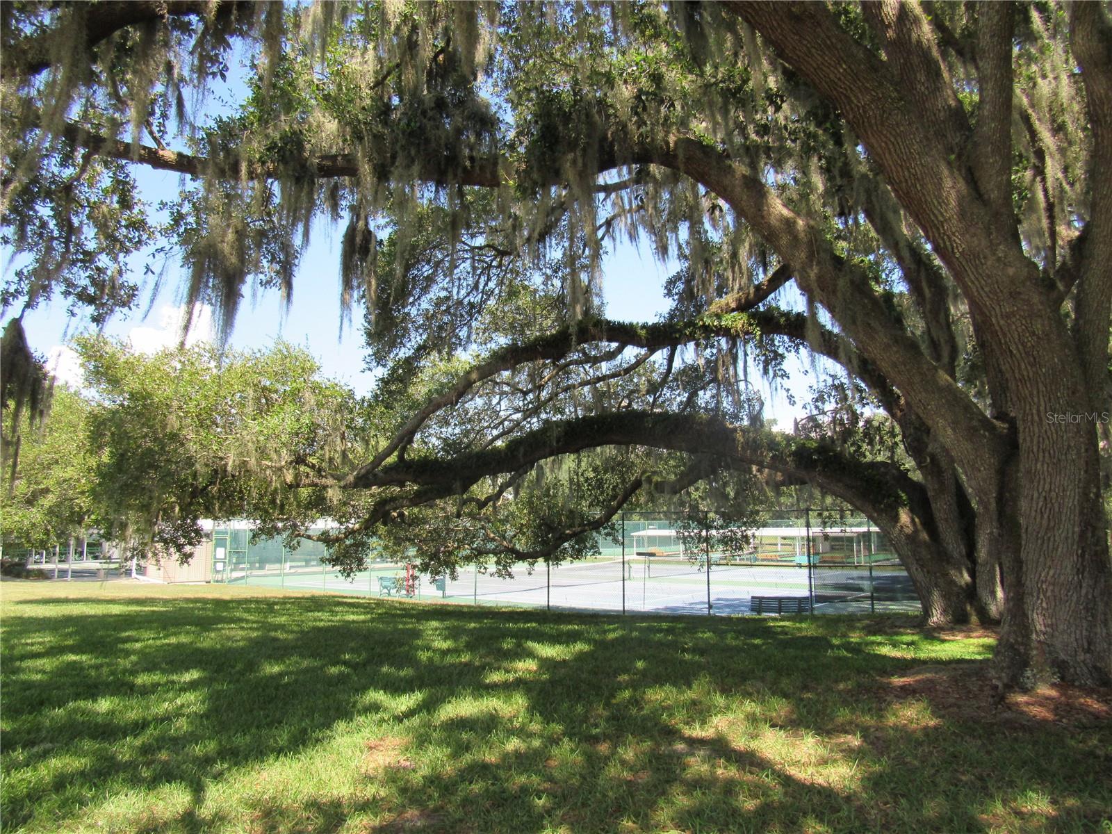 6033 WADE ST, LEESBURG, FL — photo 59