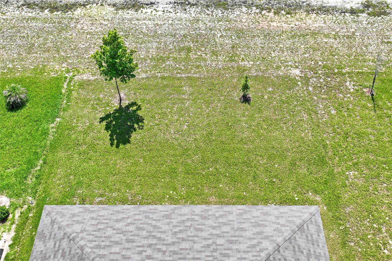 4041 AUTUMN AMBER, SPRING HILL, FL — photo 45