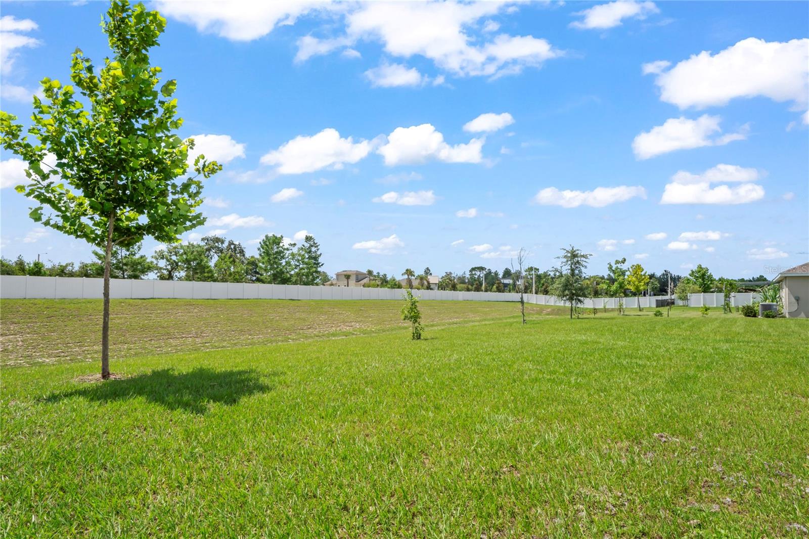 4041 AUTUMN AMBER, SPRING HILL, FL — photo 46