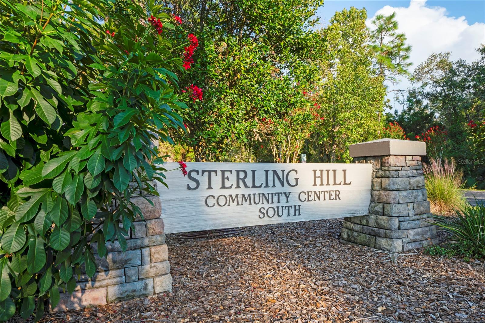 4041 AUTUMN AMBER, SPRING HILL, FL — photo 58