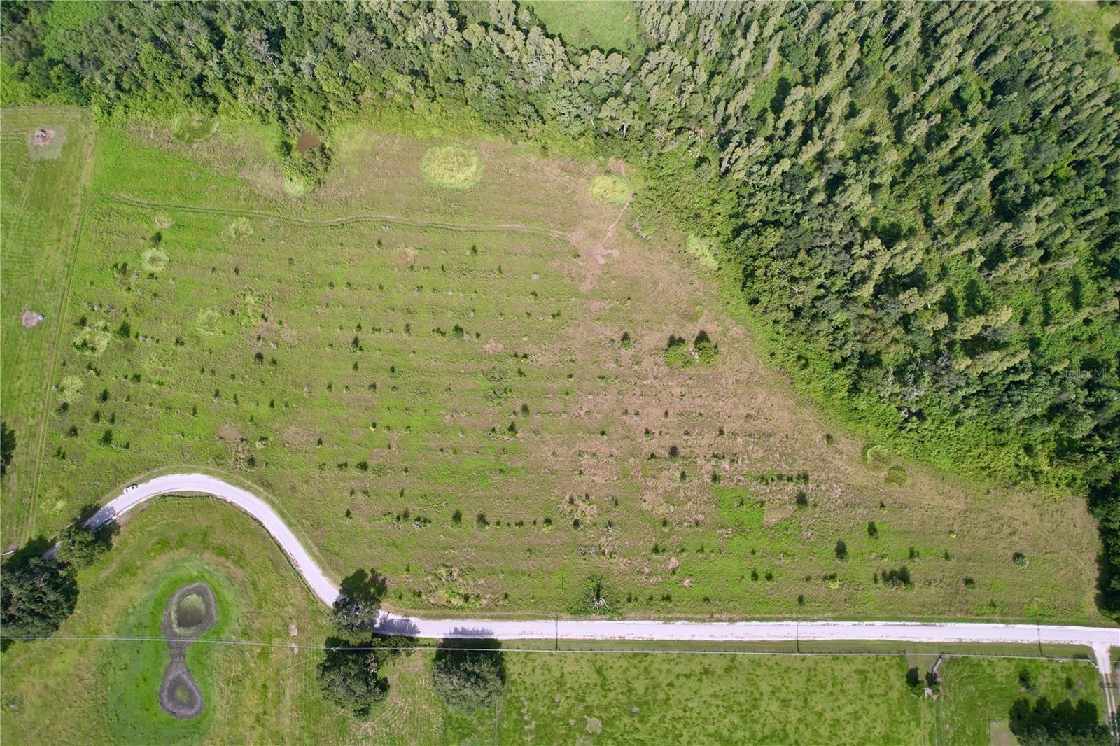 0 HANCOCK RD, LAKELAND, FL — photo 5
