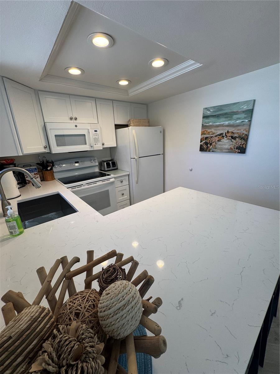 2571 CYPRUS DR #1-202, PALM HARBOR, FL — photo 11