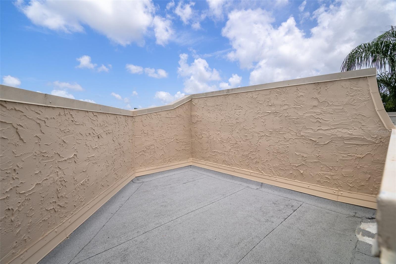 2571 CYPRUS DR #1-202, PALM HARBOR, FL — photo 32