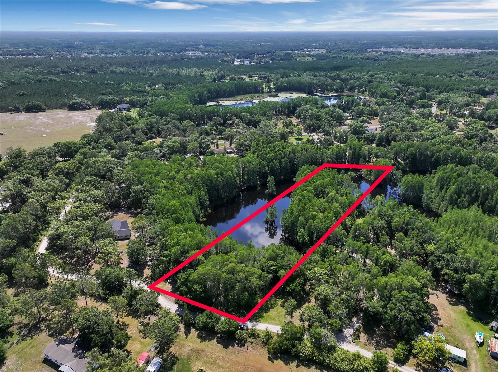 19832 WESTWOOD LN, LAND O LAKES, FL — photo 4