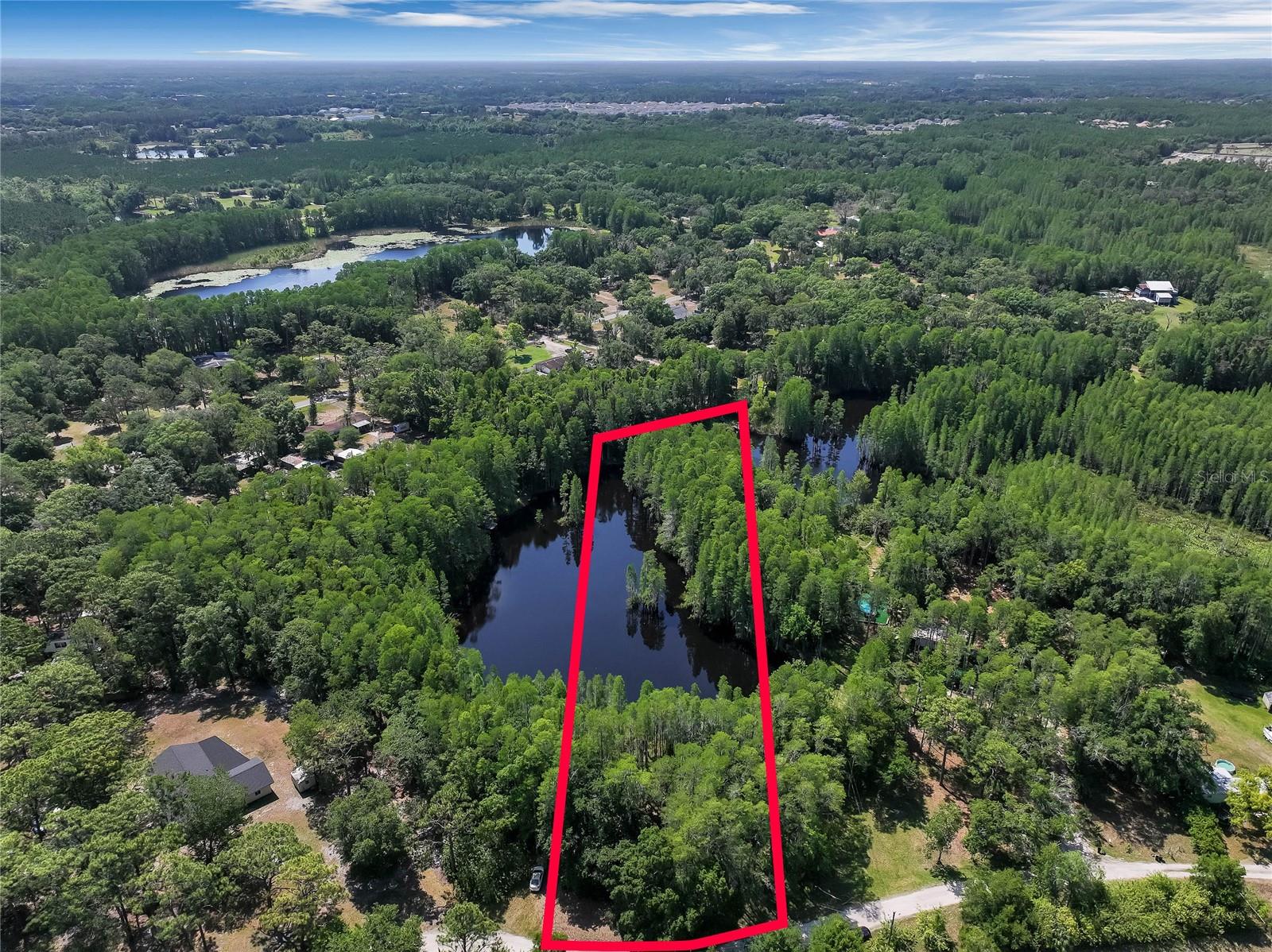 19832 WESTWOOD LN, LAND O LAKES, FL — photo 5