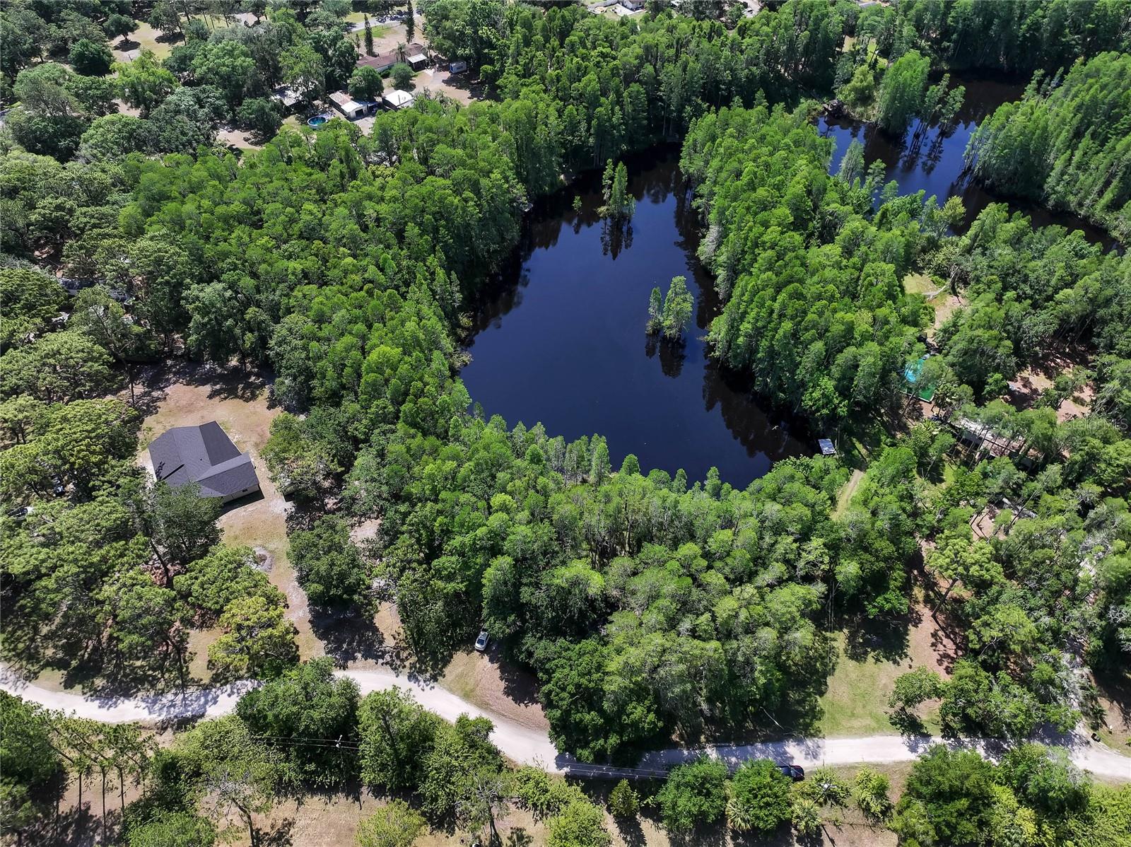 19832 WESTWOOD LN, LAND O LAKES, FL — photo 6