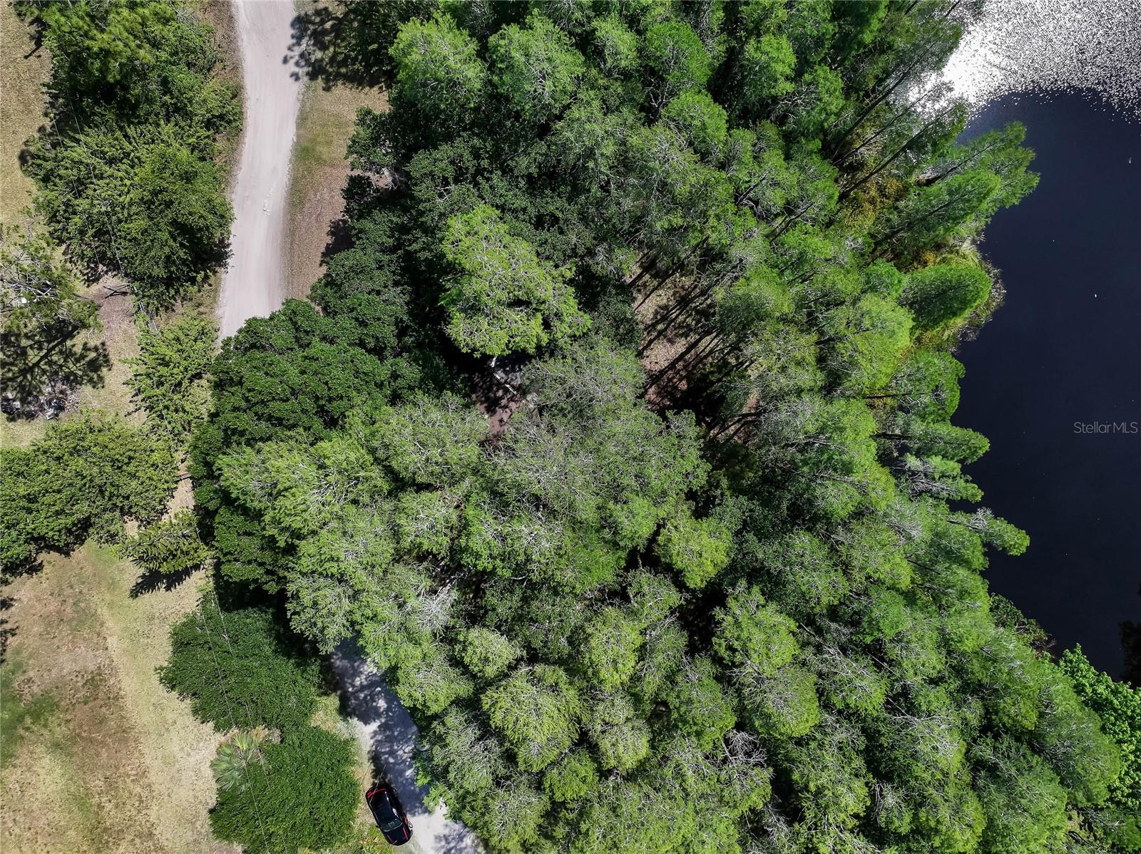 19832 WESTWOOD LN, LAND O LAKES, FL — photo 7