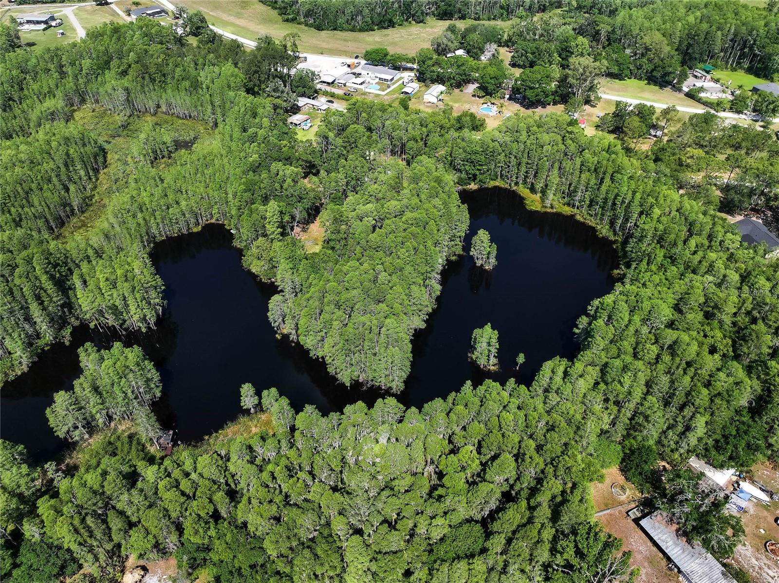 19832 WESTWOOD LN, LAND O LAKES, FL — photo 8