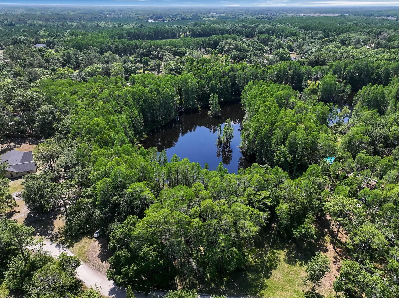 19832 WESTWOOD LN, LAND O LAKES, FL — photo 9
