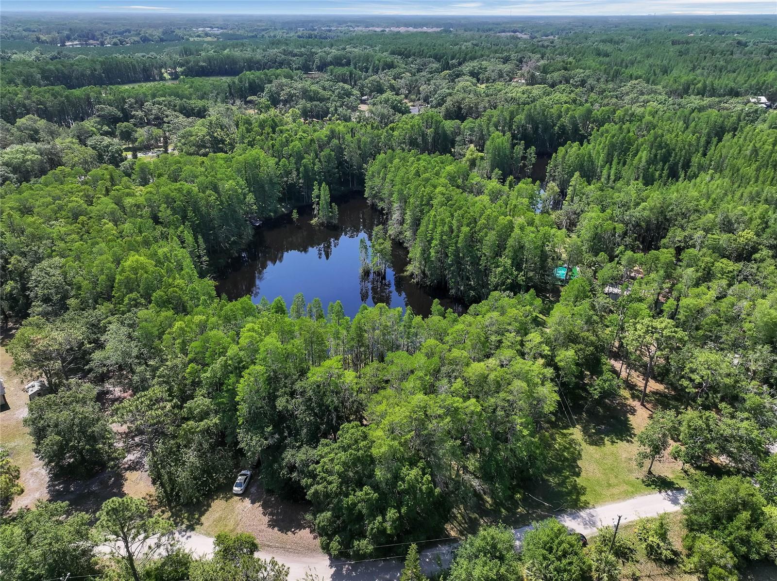 19832 WESTWOOD LN, LAND O LAKES, FL — photo 10