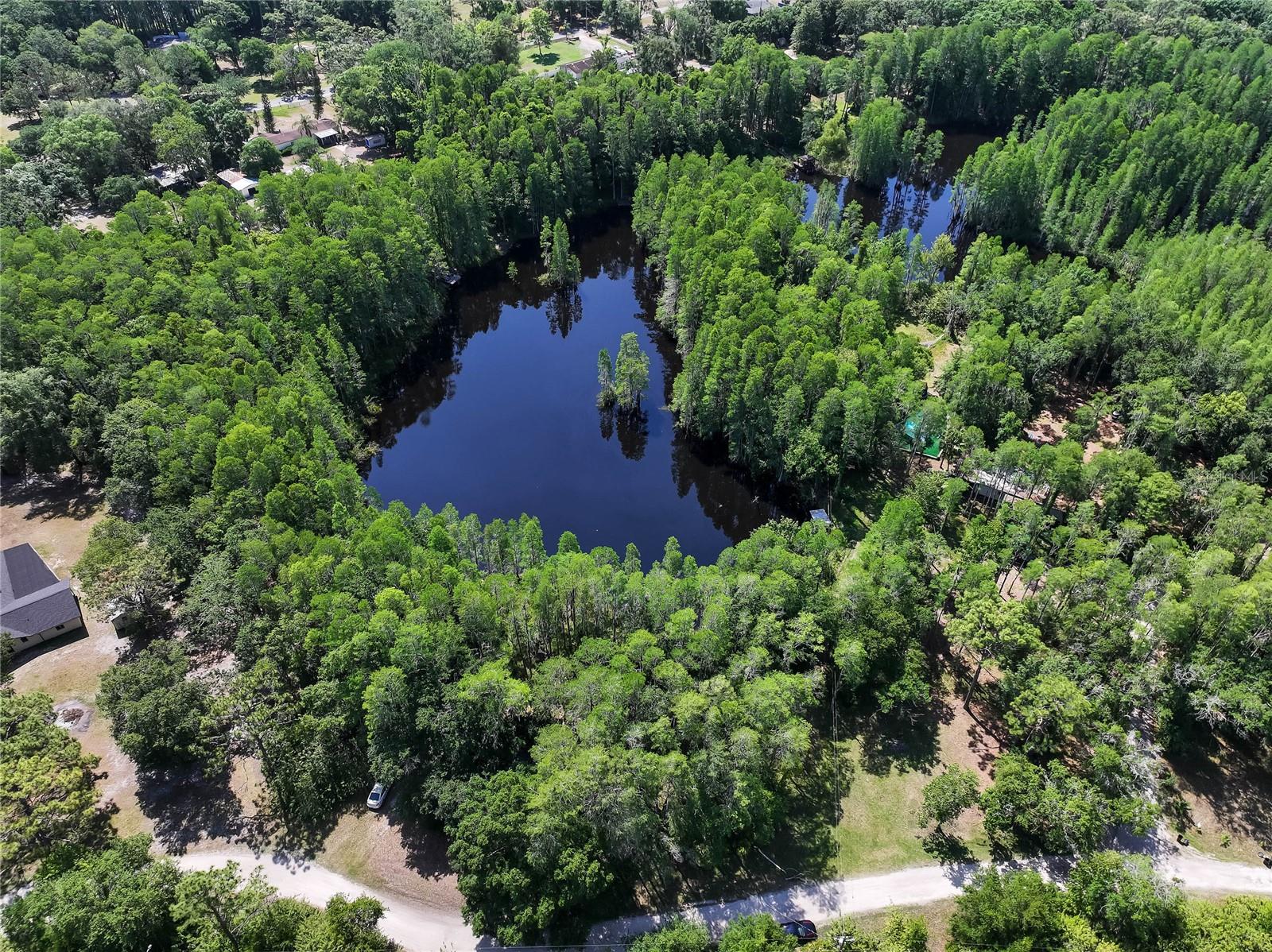 19832 WESTWOOD LN, LAND O LAKES, FL — photo 11
