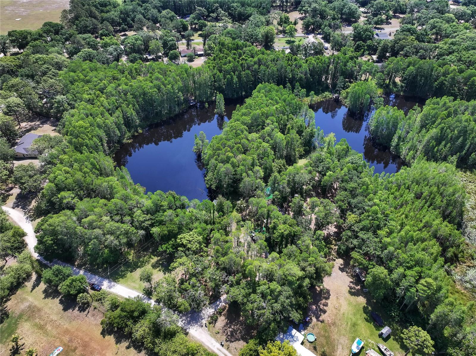 19832 WESTWOOD LN, LAND O LAKES, FL — photo 12