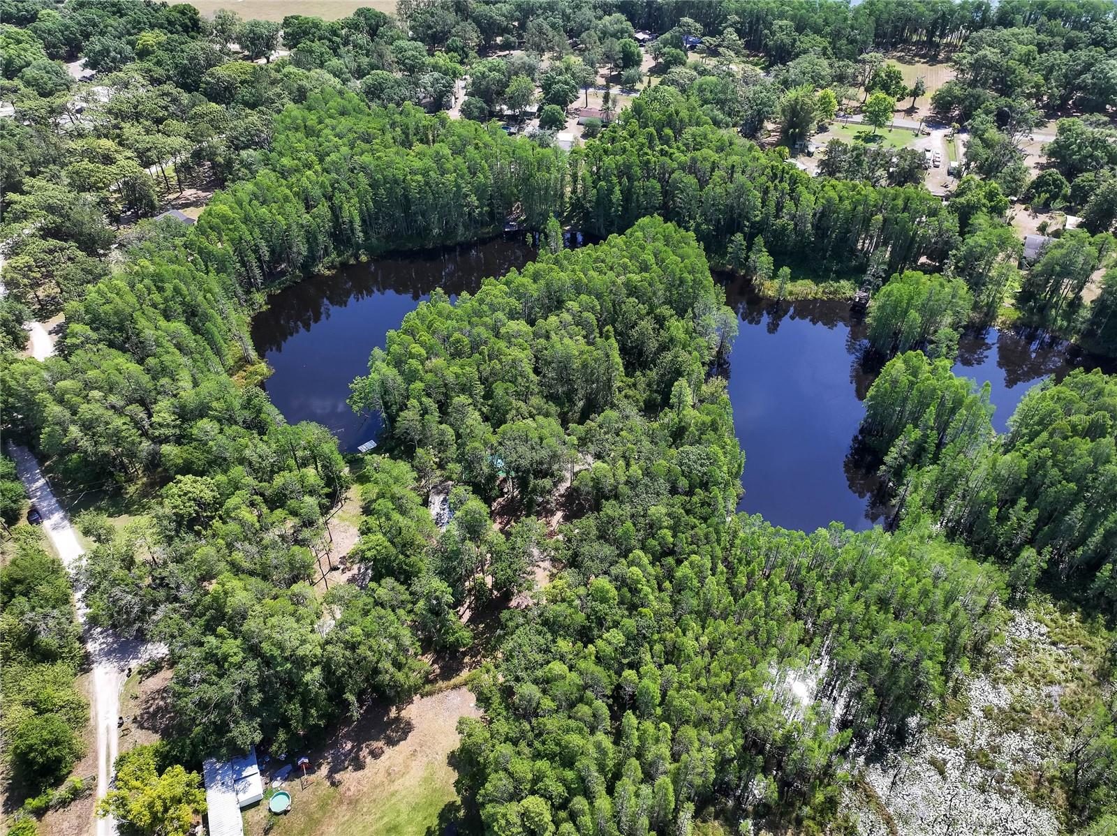 19832 WESTWOOD LN, LAND O LAKES, FL — photo 13