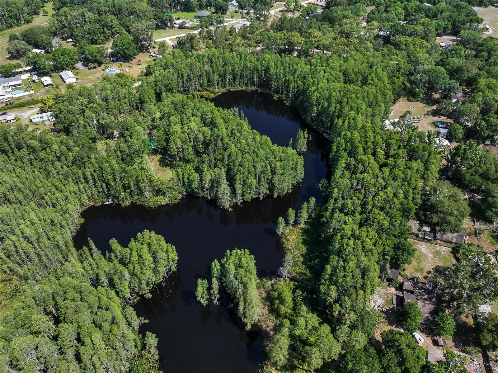 19832 WESTWOOD LN, LAND O LAKES, FL — photo 16