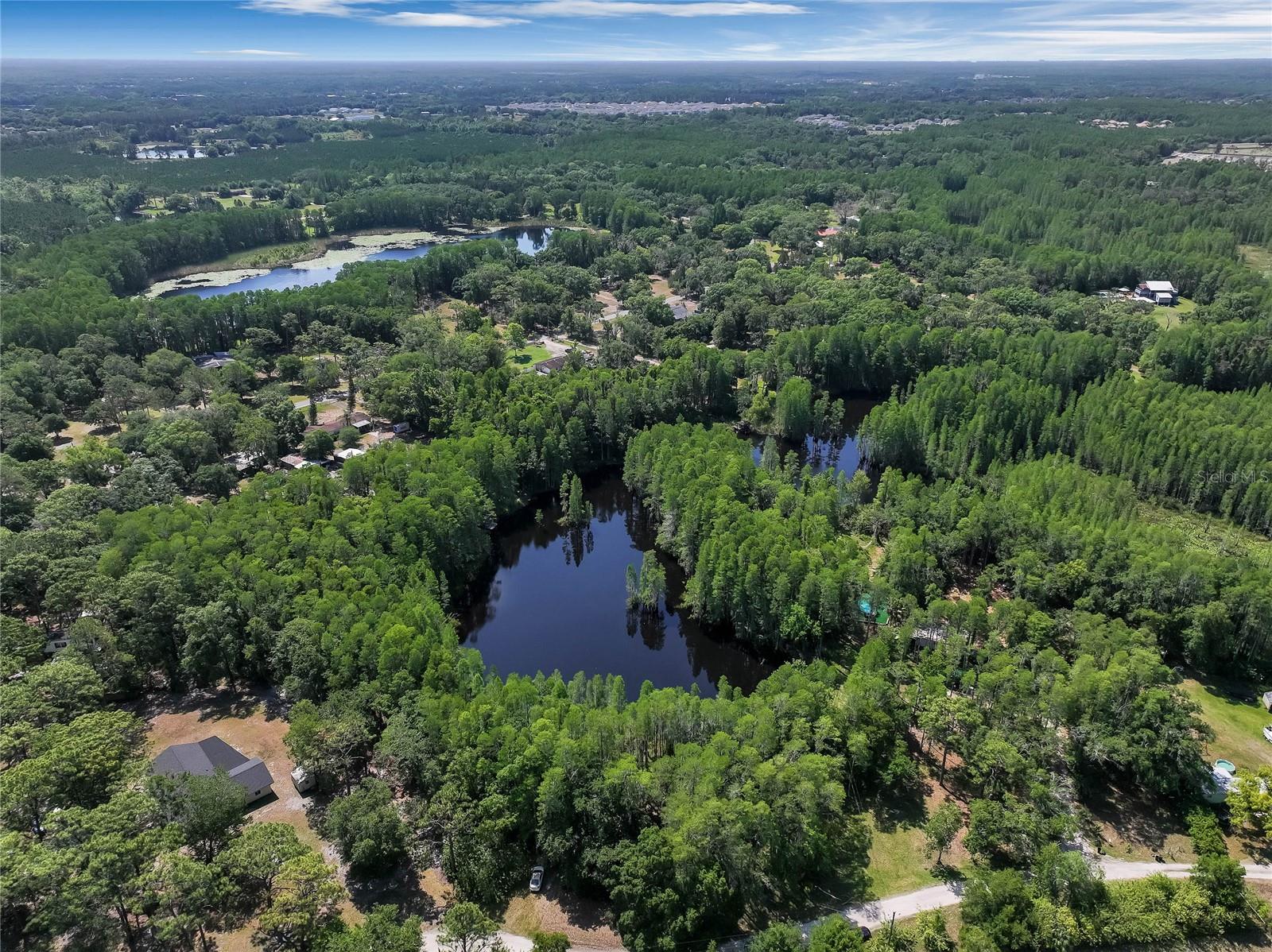 19832 WESTWOOD LN, LAND O LAKES, FL — photo 22