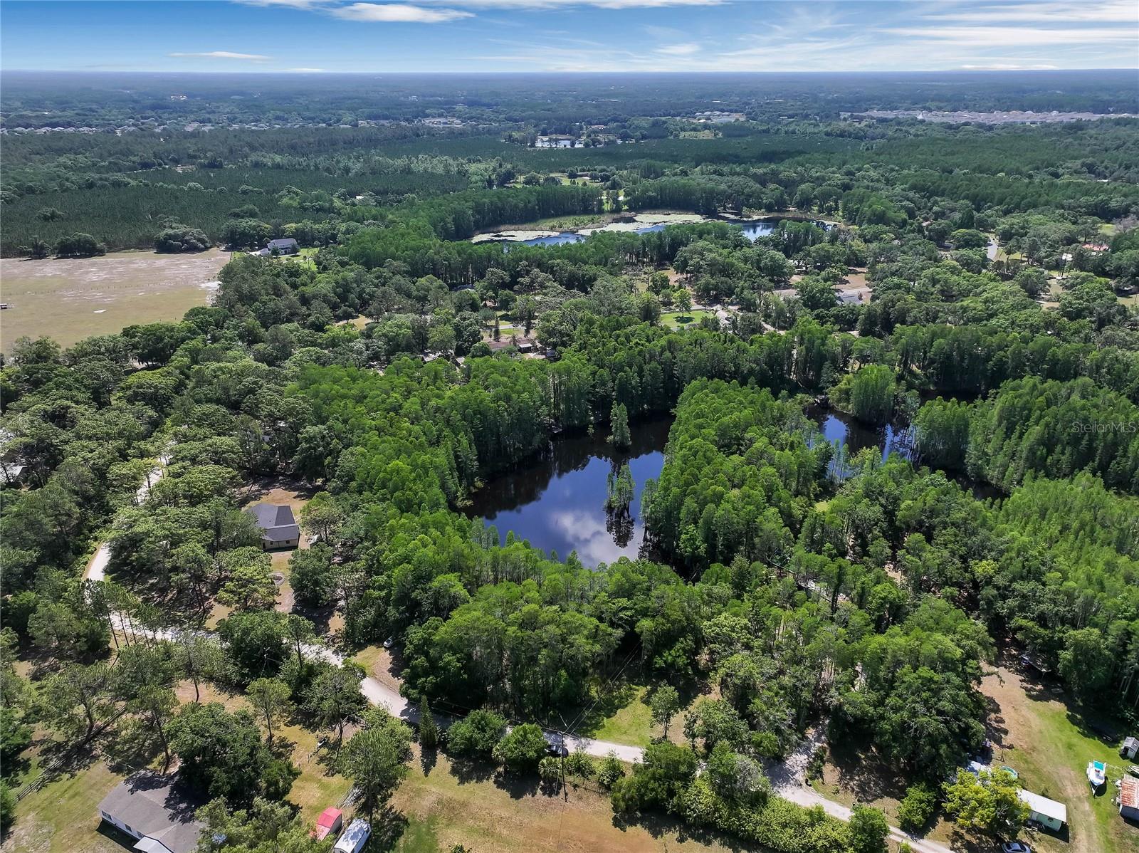 19832 WESTWOOD LN, LAND O LAKES, FL — photo 23