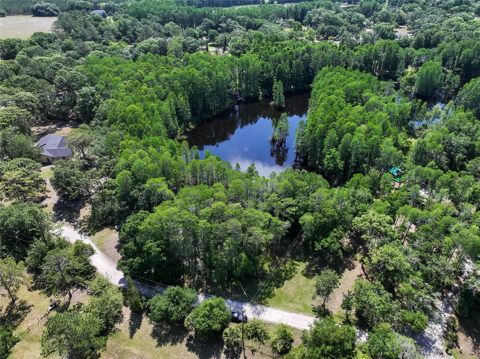 19832 WESTWOOD LN, LAND O LAKES, FL — photo 24