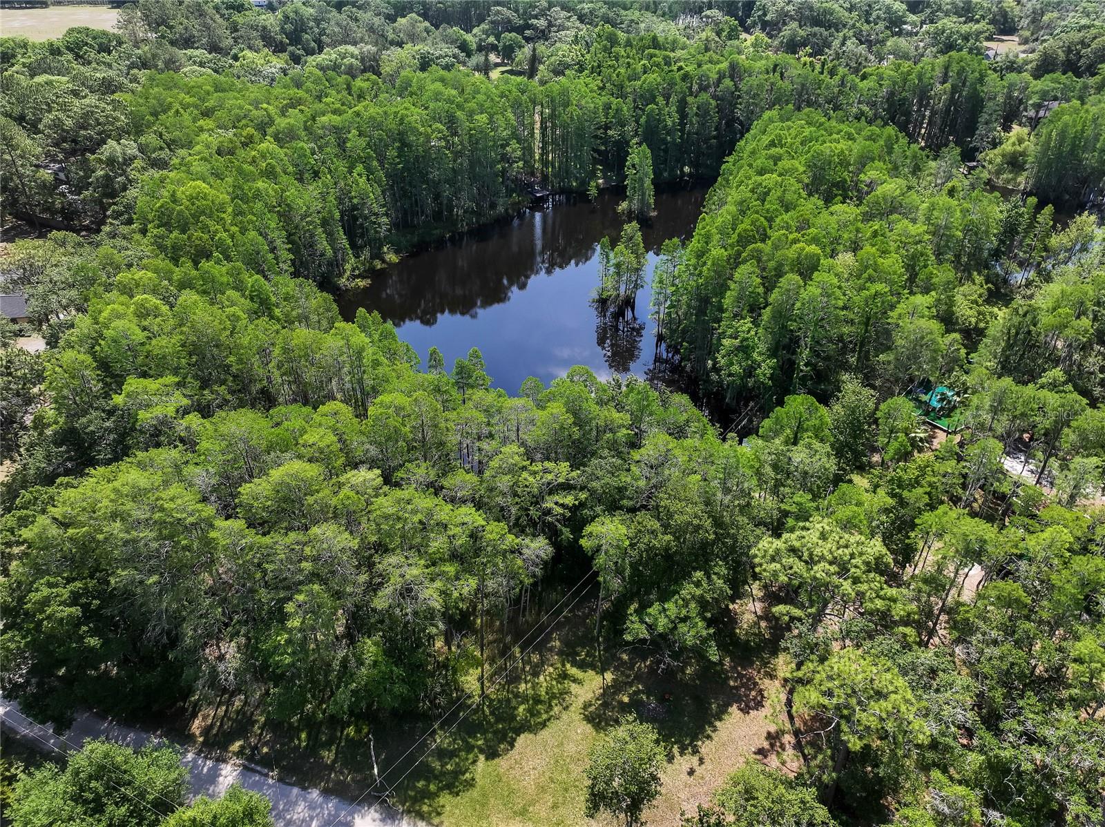 19832 WESTWOOD LN, LAND O LAKES, FL — photo 25