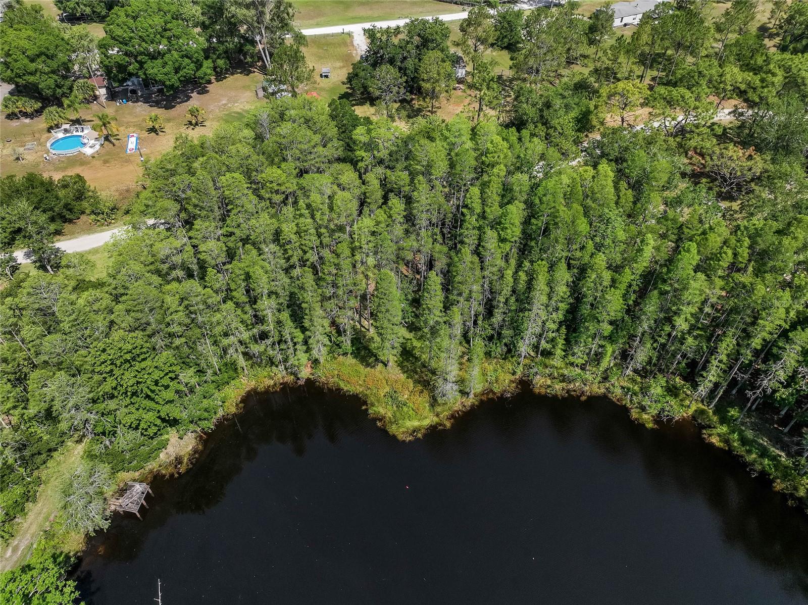 19832 WESTWOOD LN, LAND O LAKES, FL — photo 27