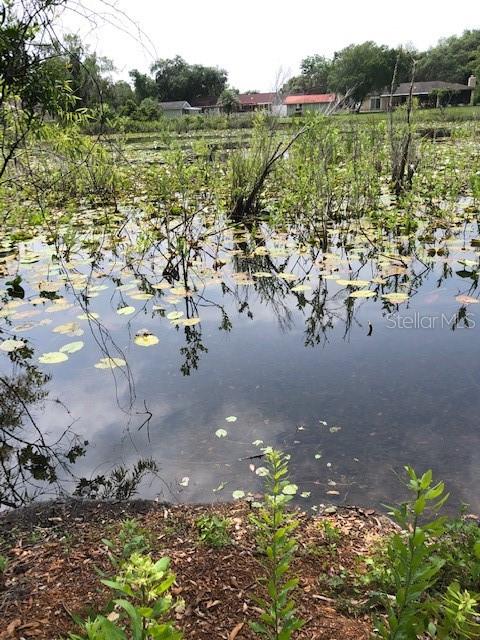 CARVER, NEW PORT RICHEY, FL — photo 4