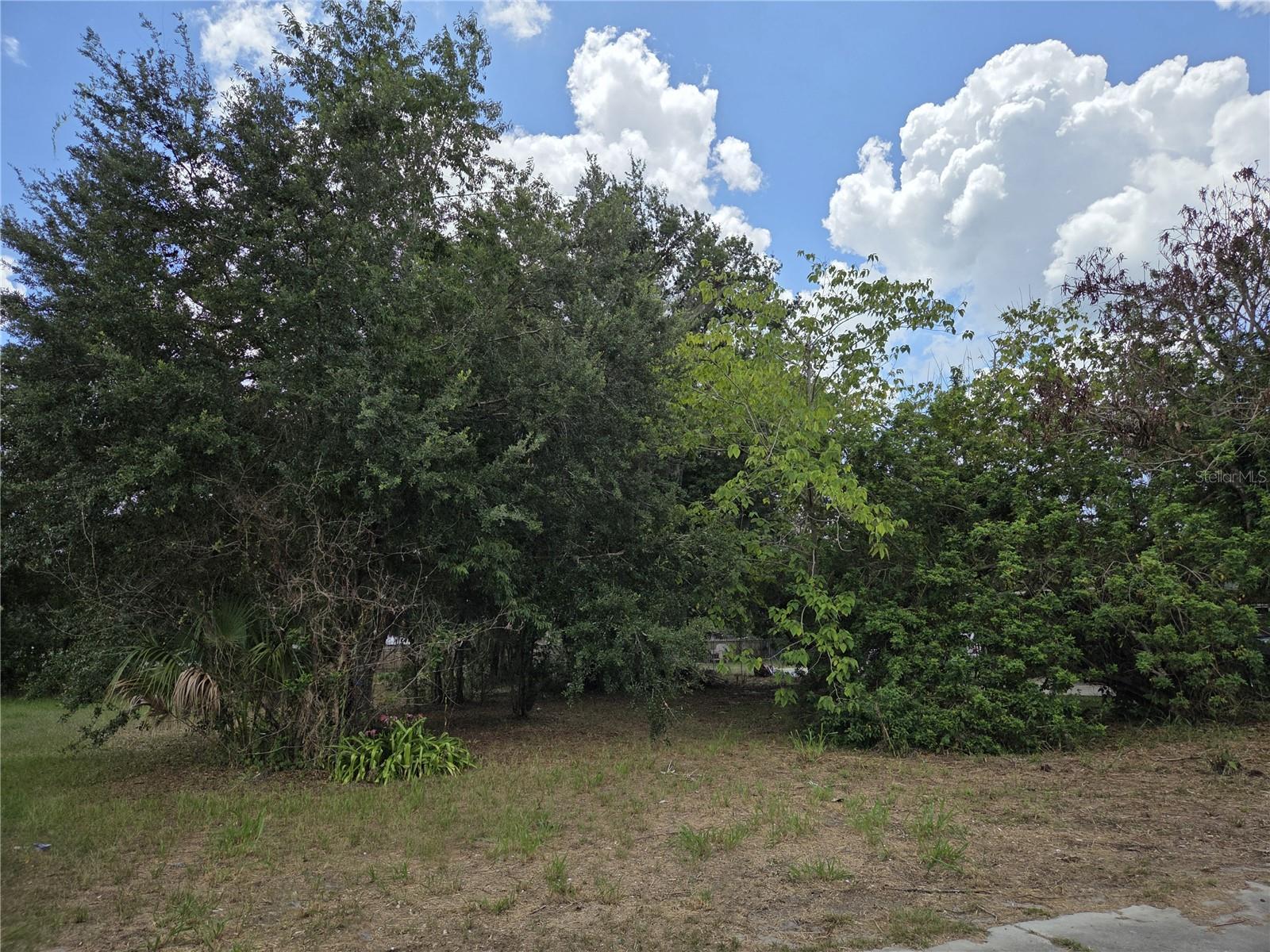 505 S LANIER AVE, FORT MEADE, FL — photo 2
