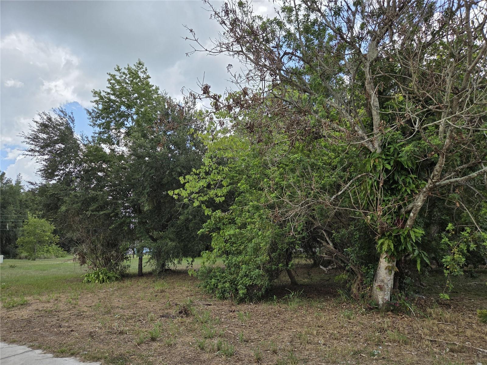 505 S LANIER AVE, FORT MEADE, FL — photo 3