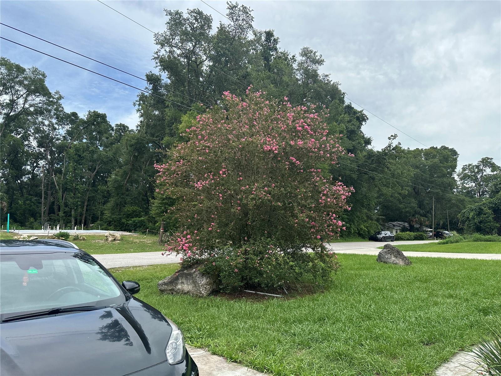 13678 SE 55TH AVE, SUMMERFIELD, FL — photo 8