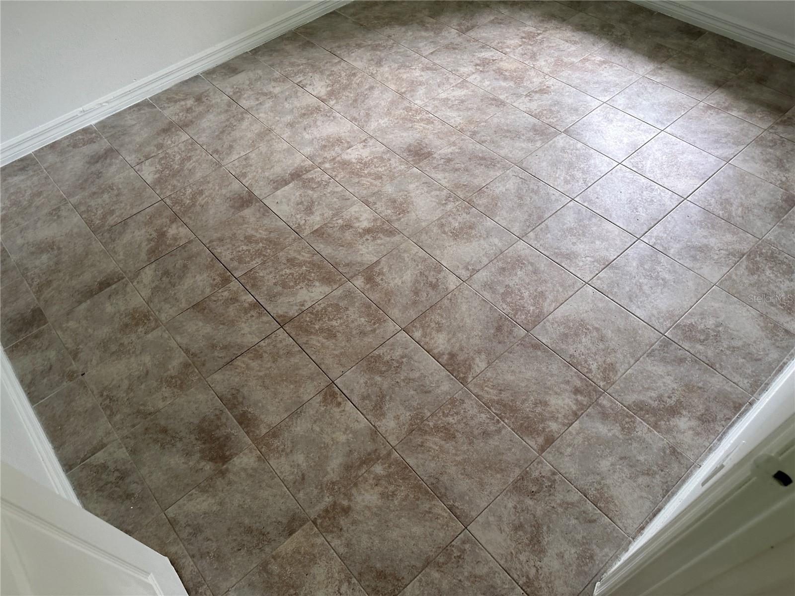 13678 SE 55TH AVE, SUMMERFIELD, FL — photo 22