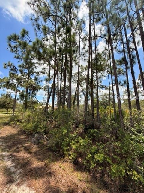 113 BOUGAINVILLE DR, INDIAN LAKE ESTATES, FL — photo 7