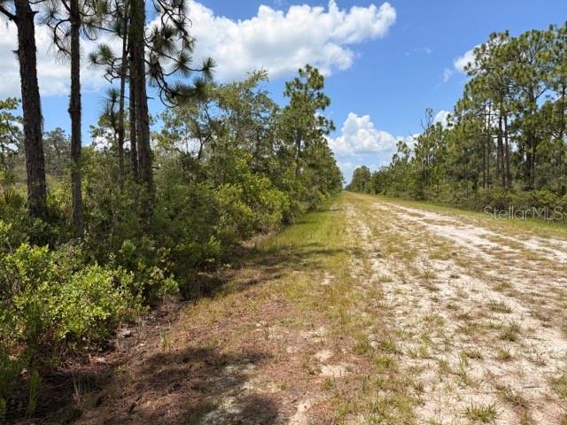 113 BOUGAINVILLE DR, INDIAN LAKE ESTATES, FL — photo 8